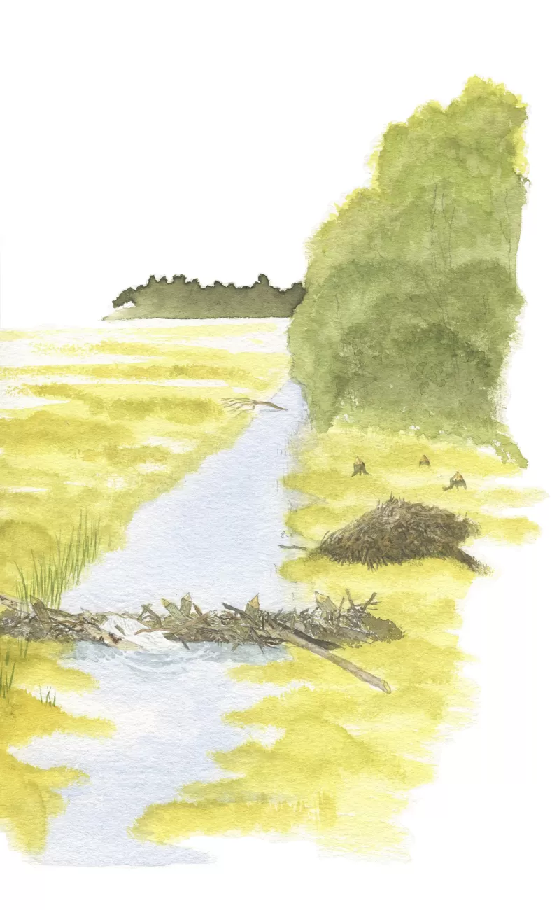 Dam and lodge drawing - D. Klees