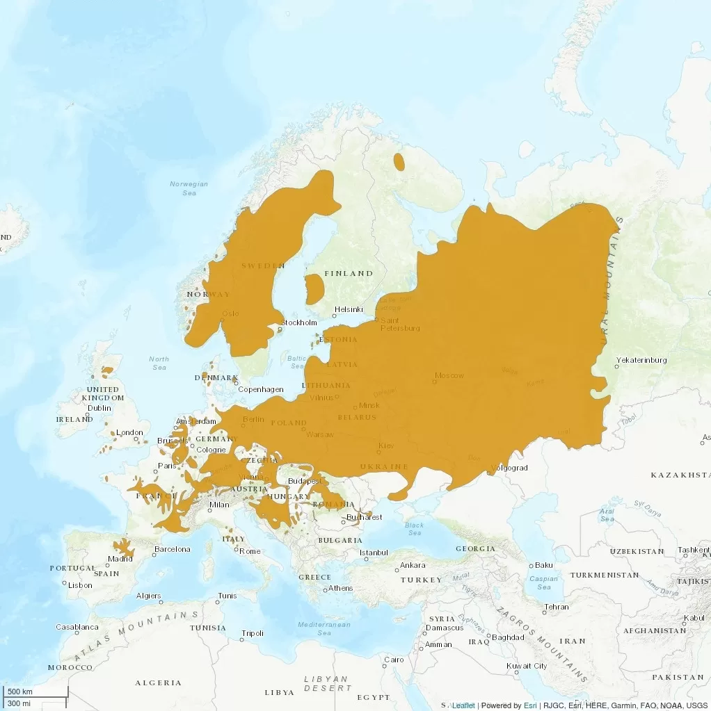 Distribution Castor fiber - IUCN