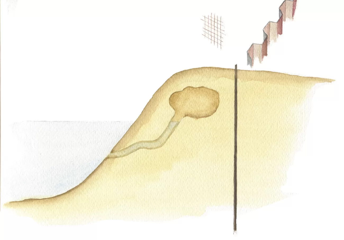 Mesh or sheet piling - Dick Klees