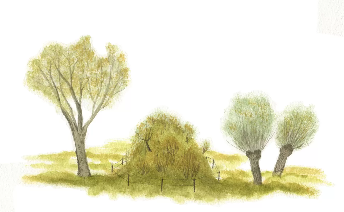 High-water refuge place side view - Dick Klees