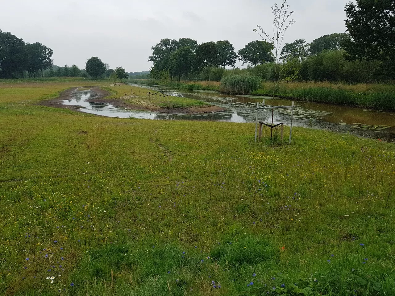 Reassigned use of bank - Wesley Overman