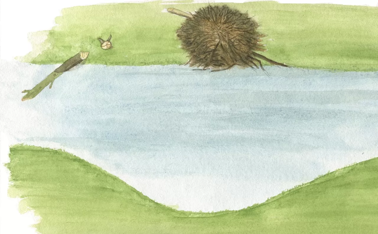 Topview drawing of deepened watercourse D. Klees