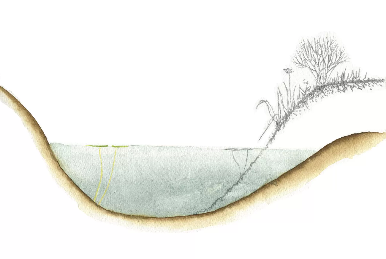 Flatten bank - Dick Klees