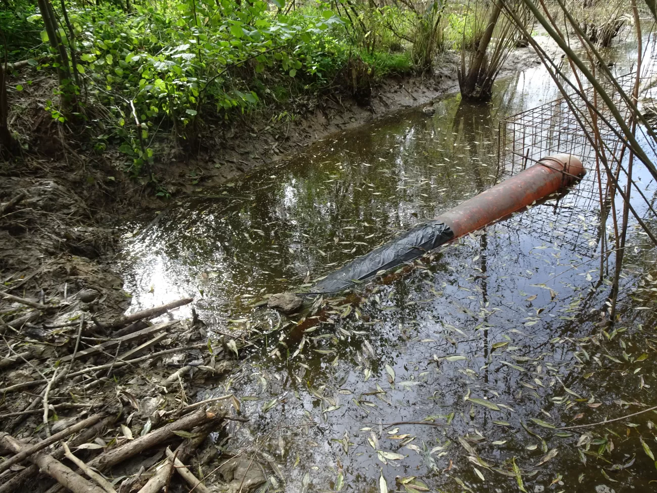 functional drain J. Uhlikova