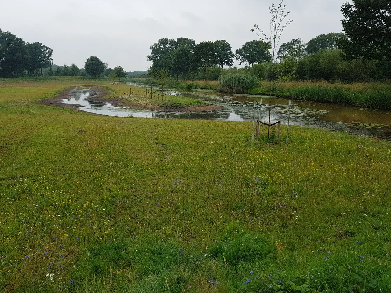 Reassigned use of bank - Wesley Overman