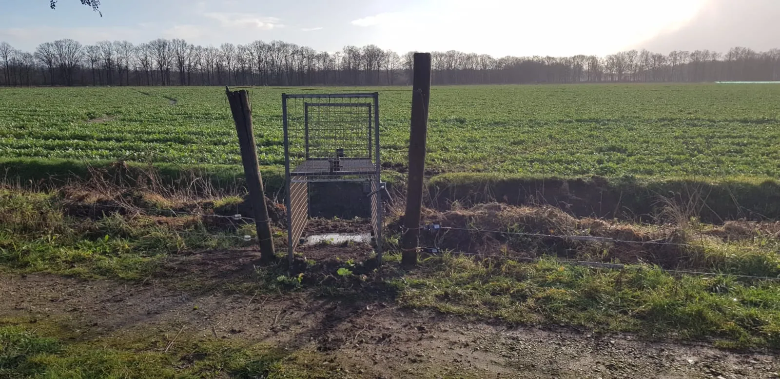 Shock wire and trap - R Voesten